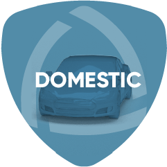 Domestic Insurance